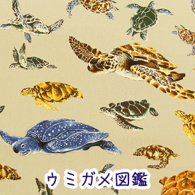 楽天市場 ウミガメ 生地 布 手芸 クラフト 生地 日用品雑貨 文房具 手芸の通販