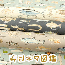 楽天市場 寿司ネタ図鑑の通販