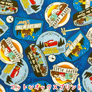 LN^[IbNXvg wJ[YxlCr[n@Rbg100n/fBYj[/sNT[/CARS/J[Y//w/bts/obO