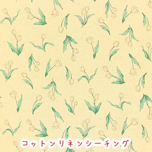 yEnsoleillezA\CG u`[bvvLiRbglV[`Ovgn/l/\tgH/k/Ȗ/ԕ/RCY~/z/