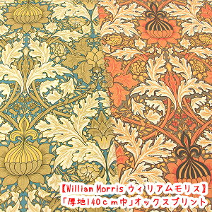 AnynzAS Fabrics@EBAXwAeB[Nt[xn@RbgIbNXvgn/z/X/ԕ/An/IbNX/