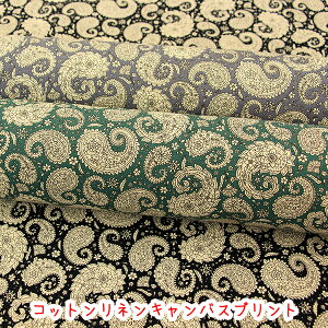 w_yCY[xRbglLoXvgn/l/yCY[/_/Ȗ/