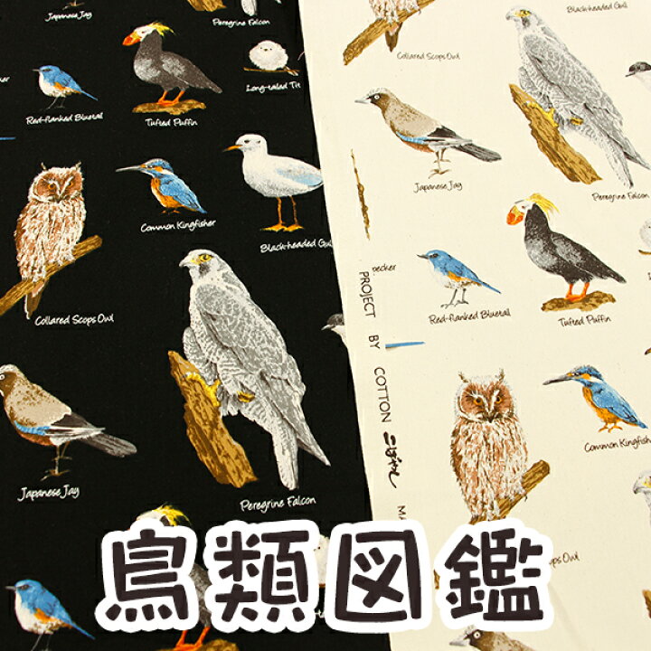 コットンこばやし 鳥類図鑑 コットンツイルプリント生地 布 鳥 梟 鳥柄 こばやし コットンこばやし 入園入学 生地 布地の店タケヒロヤ
