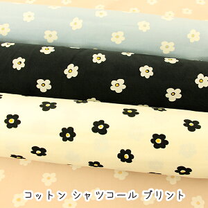 yRbg VcR[ vgzwfCW[xn/R[e/fCW[/R[V/t[/ԕ/R[fC/VcR[/