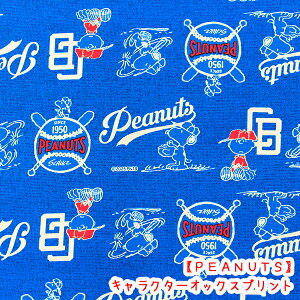 LN^[IbNXvg ws[ibcx Xk[s[x[X{[@u[n/Xk[s[/s[ibc/w/w/obO/싅/