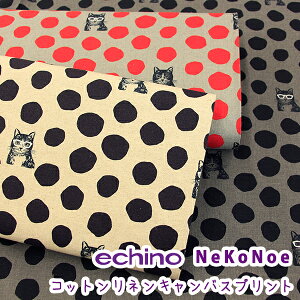 echino NeKoNoewCATxRbglLoXvgn/echino/L/˂/NeKoNoe/KOKKA/G`m/echino/Ȗ/