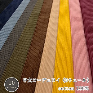 uR[fCv8EF[Rbg100n/R[e/R[V/R[fC/n///8EF[/8W/z/