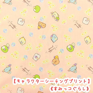 LN^[V[`Ovg w݂R炵xt[@sNn@Rbg100n/݂/݂R炵/w/|/^Pq