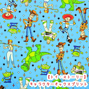 LN^[IbNXvg wgCEXg[[xg TbNXn@Rbg100n/fBYj[/gCXg[[/GCA/oY//w/obO