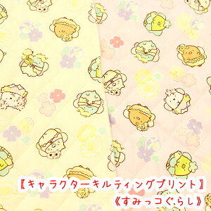 LN^[LeBO w݂R炵xdn@Rbg100 n/݂R炵/݂R/LeBO//w/obO