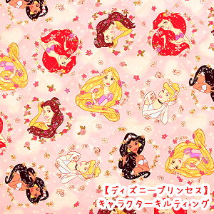 LN^[LeBO wfBYj[vZXxt[u[P@sNni\nj@Rbg100 n/fBYj[/vZX//LeBO/ObY/킢/w/