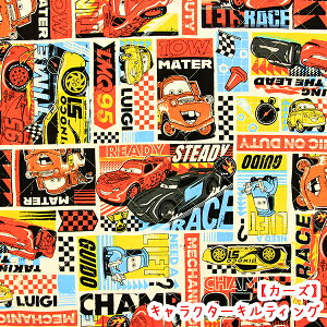 LN^[LeBO wJ[YxItni\njRbg100 n/J[Y/LeBO/JbR//nhCh//X[p[J[/bXobO/bts/2026/