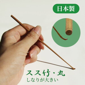 y10%OFF yVX[p[SALE 12/4 20z|  ɍ׎ XX|() XX|(~) N| I Y { El ~ |   gSnō אg 