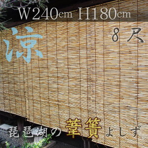 {  i 悵 8 240cm TVF[h Y SDGs GR y т킱 |̃GNXeA I[jO   悯 VR XN[   2.7m   El 
