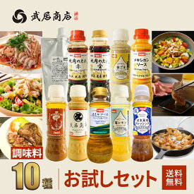 調味料セット お試し10本 ガーリックオイル 焼肉のたれ ドレッシング 200ml 300ml 武居商店 プロ御用達 テレビで紹介
