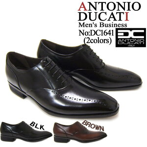 iŃX}[gȑo{irWlXIAgjI hJbeB/ANTONIO DUCATI amC DC-1641 ubN `[gD H  {