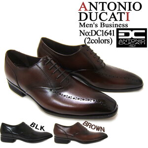 iŃX}[gȑo{irWlXIAgjI hJbeB/ANTONIO DUCATI amC DC-1641 _[NuE `[gD H  {