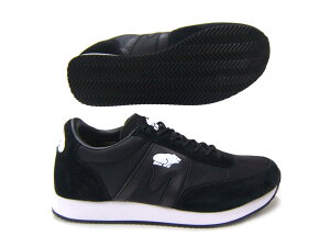 NVbNXj[J[ő咍ڂNewtFCXIJt/KARHU AogX/ALBATROSS ubN/ubNKH802567 