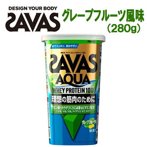 ɃE\z̑̂ǋZ/Meiji UoX/SAVAS ANA zGCveC100 O[vt[c 280g