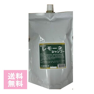 yԌ20%OFFzzR [lVv[ 2L [l Tꔄi   Ɩp e t@[XgVv[ e TVv[ Tꔄi