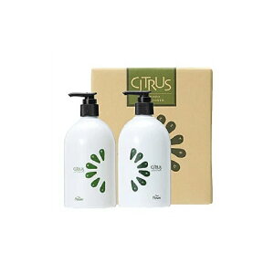 yԌ20%OFFzVgXVv[RfBVi[ MtgZbg 480ml I[VR[Q qA_ VNveC VgX̍ vpeEe@X v`Mtg