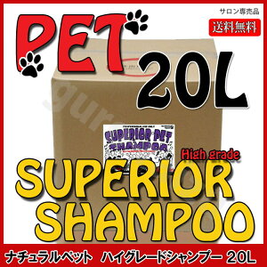 yԌ20%OFFz nCO[hybg Vv[ 20L XC t@CPR g}[ vpeEe@X v`Mtgp Mtgp Ƃv[gpɂ R