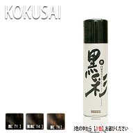 アモロス 黒彩ダーリングカラースプレー 135ml 白髪専用カラー サロン専売品 サロンプロ プロ用美容室専…