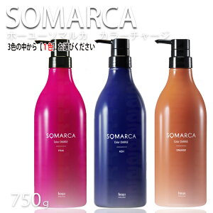 z[[ \}J J[g[gg wAJ[g[gg sN AbV IW wAJ[ g[gg J[`[W Tg[gg Tꔄi hoyu SOMARCA 