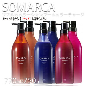 ���Ԍ��� �z�[���[ �\�}���J SOMARCA �Ɩ��p �y�A�Z�b�g �J���[�V�����v�[ 770ml�{�J���[�`���[�W750g �Z�b�g �F�I�� �I�����Wor�A�b�V��or�s���N hoyu professional �z�[���[�v���t�F�b�V���i���v���p