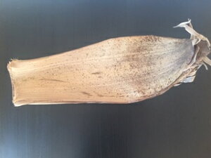 YVR|@JV_P@316Z`@10Rt@ɂ