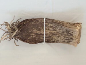 S₷̍YVR|42×16@100@ɂ