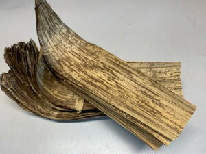 SS@YVR|@48×12@45 ؂܂