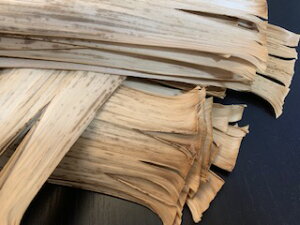 YVR|49`11Z`50@2i@؂܂