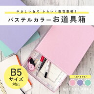 【TAKEMEKI】道具箱 大きめ B5 サイズ (パレット パステルカラー) お道具箱 おどうぐばこ デスクボックス…