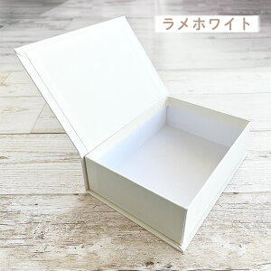 ЊJ Mtg{bNX MTCY (15.5×10.8×H4.5cm) ubN^ v[g  킢 v[gp \ v`Mtg NX}X nEB o^C 蕨 bsO ̓ ̓ a