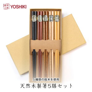 y1000~|bLEzǖ؍H[YOSHIKI  ؐ 5VZbg 22.5cm ϔ 5FihAhAS؁AkAIj͂ v[g  ͂ Zbg ٓ }C gє 