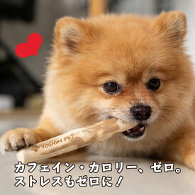 木製 犬 噛む おもちゃ Sサイズ コーヒーの木 噛むおもちゃ 無添加 カフェインフリー 犬のおもちゃ デンタルケア 歯磨き効果 犬用おもちゃ 100%ナチュラル 破壊防止 ストレス解消 小型犬 良木工房 YOSHIKI YK-POS