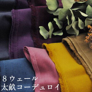 8EF[R[fC n R[V n H~  Rbg WXJ pc XJ[g z {y1z