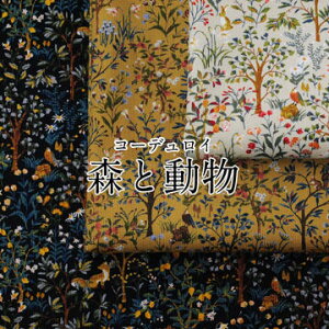 yR[fCzXƓ n  Rbg R[V VcR[ ׃R[ H~ z y5z