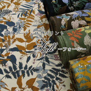 yԕR[fCvgzfall[tH[[ n  Rbg R[V VcR[ ׃R[ t[ vg H~ z y5z