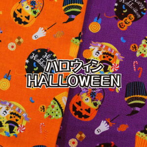 nEB HALLOWEEN n z  Rbg  nEB[ WbNI[^ ڂ ΂ JbvP[L t@ubN V[`O {y7z