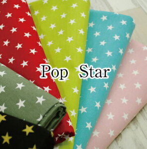 Pop Star IbNX n  X^[ j̎qy5z