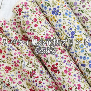 oeBԕvgs2568t n z u[h Rbg΂₵ t[ y9z