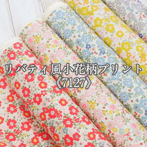 oeBԕvgs7127t n z u[h Rbg΂₵ t[ y9z