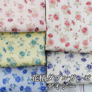 ԕ_uK[[ fCW[ n z WK[[ t[vgy6z