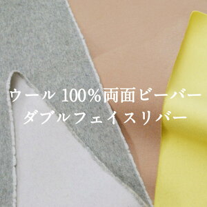 E[100ʃr[o[_utFCXo[ n z n H~ 킢  y29z