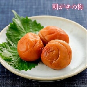 /̔~(IB썂~) [700g]/󂠂