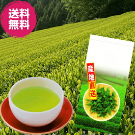 お茶　煎茶　静岡県掛川産 深蒸し茶　竹の露80g×3袋セット