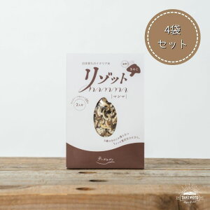 ̂]bg Zbg MAMMA (}}) \ô 2lO 4 C^AYC^AĂ_ƂڐŊJZYƉiI~[ Lbg ggHi  񂹃O 