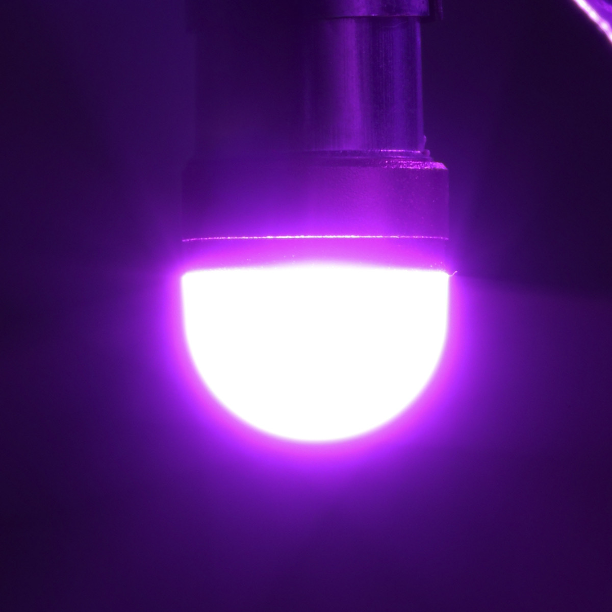 中型用パイロットランプ紫色